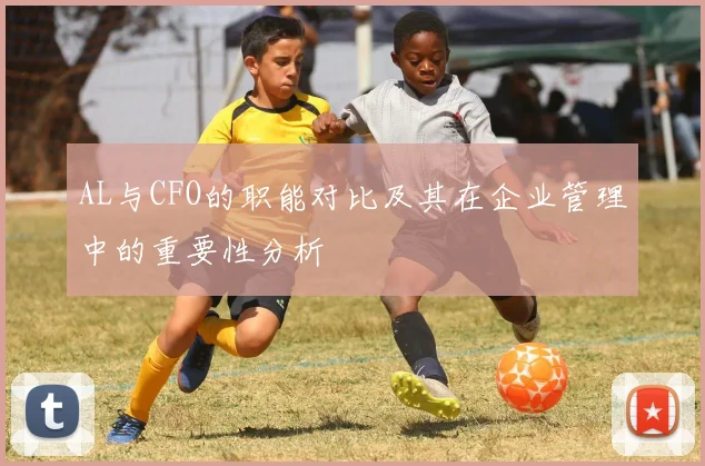 AL与CFO的职能对比及其在企业管理中的重要性分析