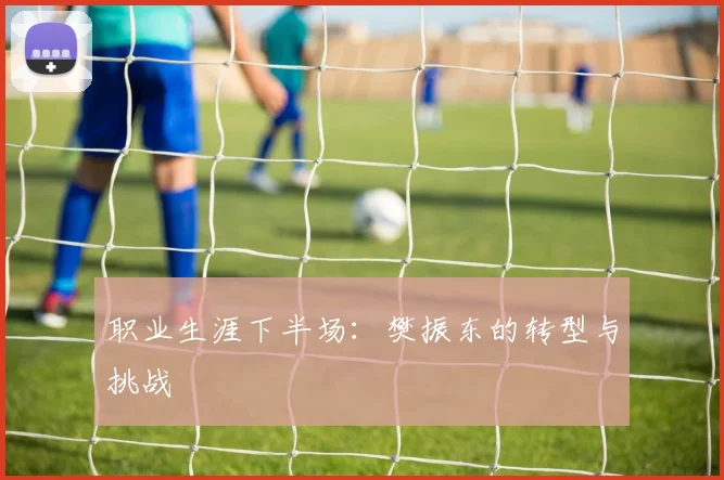职业生涯下半场：樊振东的转型与挑战
