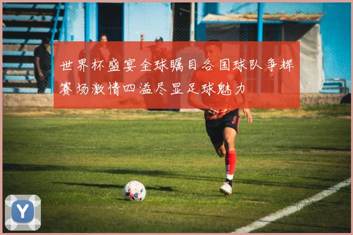 世界杯盛宴全球瞩目各国球队争辉赛场激情四溢尽显足球魅力