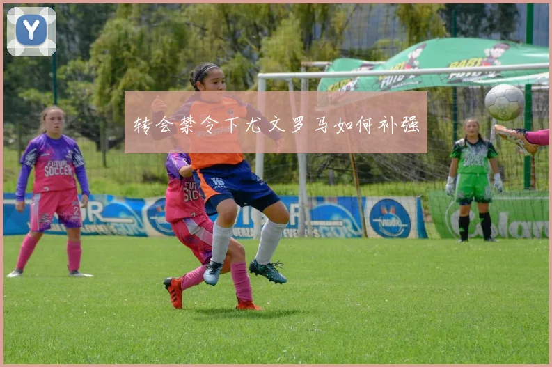 转会禁令下尤文罗马如何补强