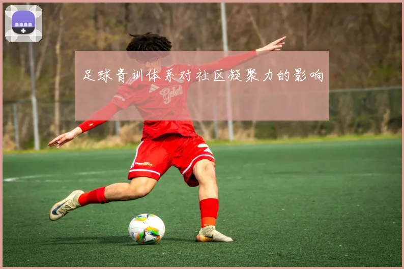 足球青训体系对社区凝聚力的影响