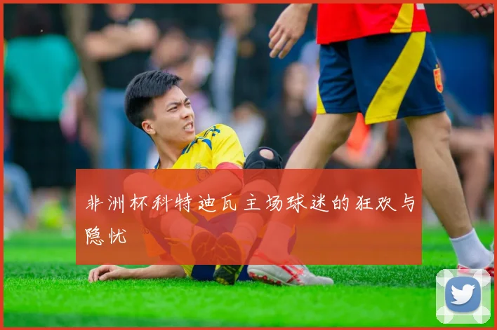 非洲杯科特迪瓦主场球迷的狂欢与隐忧